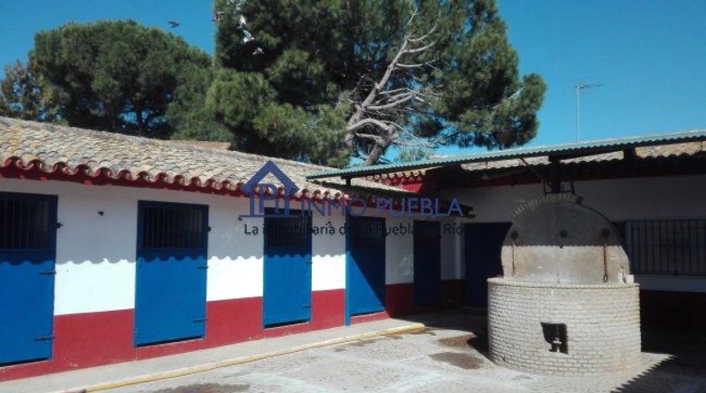 Sevilla - La Puebla del Río - 2000m2