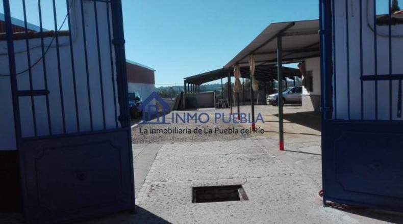 Sevilla - La Puebla del Río - 2000m2
