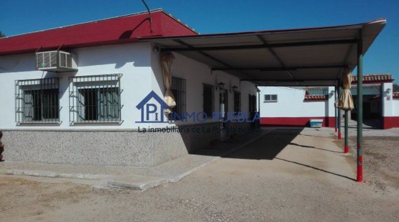 Sevilla - La Puebla del Río - 2000m2
