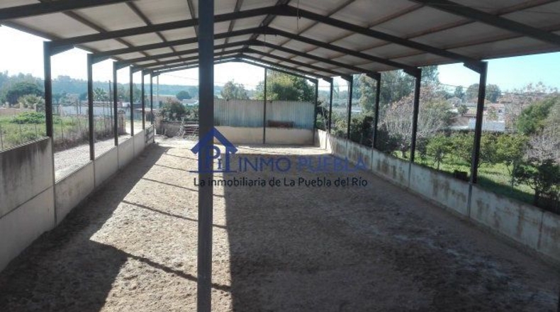 Sevilla - La Puebla del Río - 2000m2
