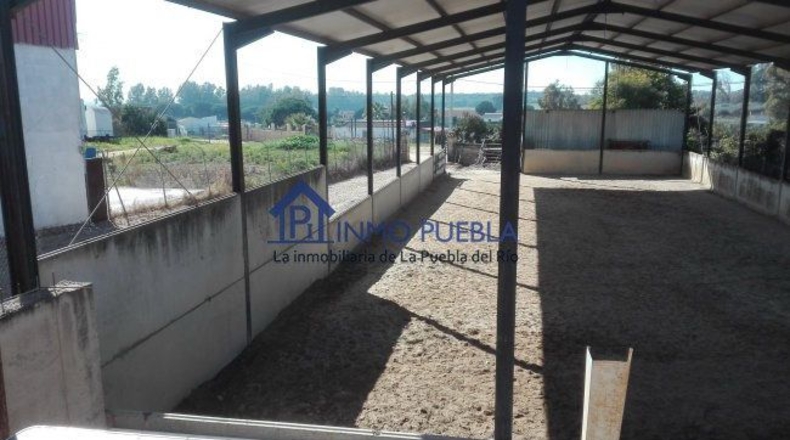 Sevilla - La Puebla del Río - 2000m2
