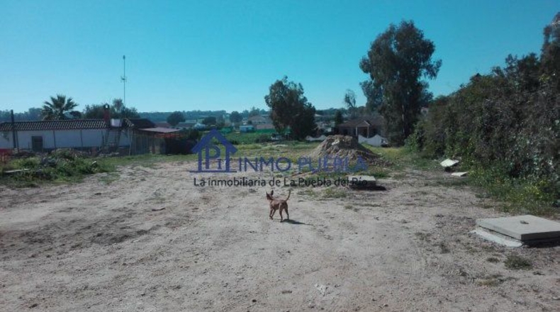 Sevilla - La Puebla del Río - 2000m2