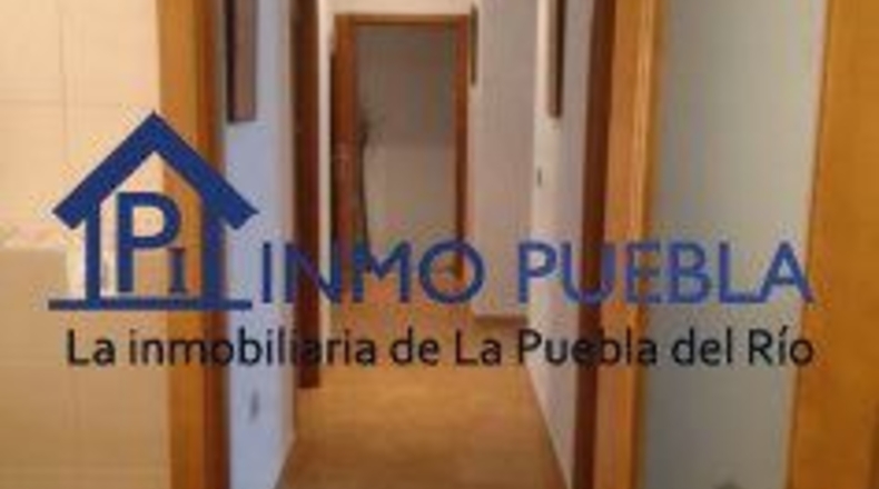 Sevilla - Isla Mayor - 145m2