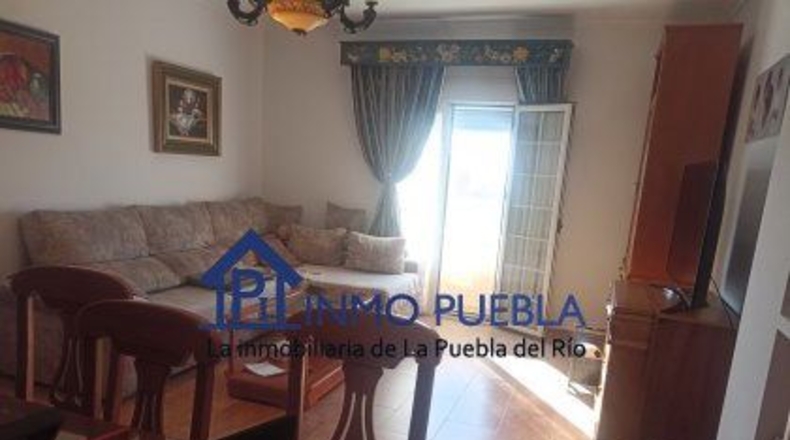 Sevilla - Isla Mayor - 145m2