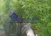 Sòl urbà en venda a La Puebla del Río ref.: TR103974 foto