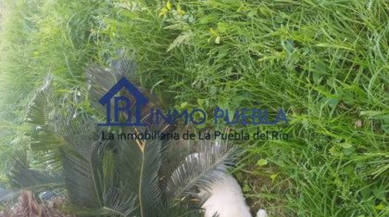 Sevilla - La Puebla del Río - 575m2