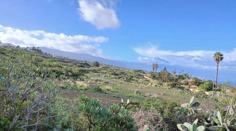 Santa Cruz de Tenerife - Tacoronte - 22334m2