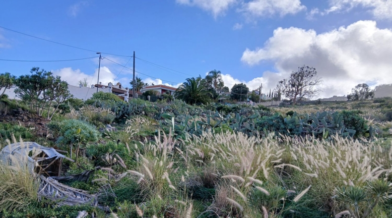 Santa Cruz de Tenerife - Tacoronte - 22334m2