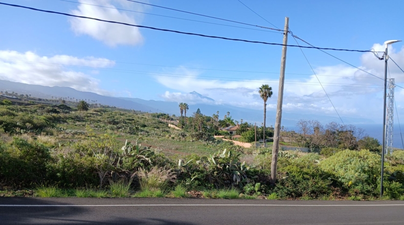 Santa Cruz de Tenerife - Tacoronte - 22334m2