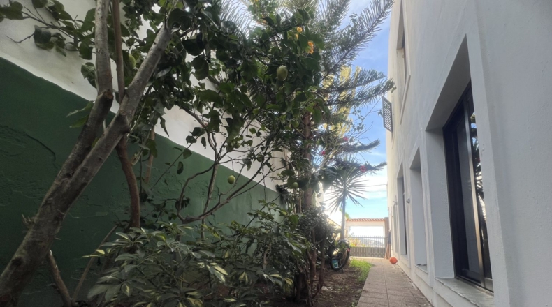Santa Cruz de Tenerife - San Cristóbal de La Laguna - 243m2