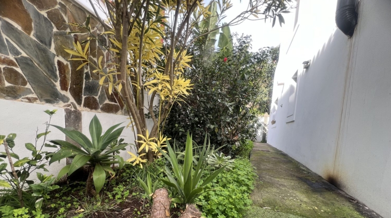 Santa Cruz de Tenerife - San Cristóbal de La Laguna - 243m2