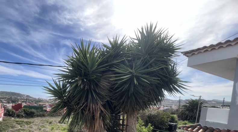 Santa Cruz de Tenerife - San Cristóbal de La Laguna - 243m2