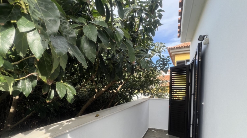 Santa Cruz de Tenerife - San Cristóbal de La Laguna - 243m2