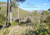 Sòl urbà en venda a la España, Bigues, ref.: TR111001 foto