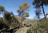 Sòl urbà en venda a la España, Bigues, ref.: TR111001 foto