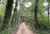 Sòl urbà en venda a la España, Bigues, ref.: TR109414 foto