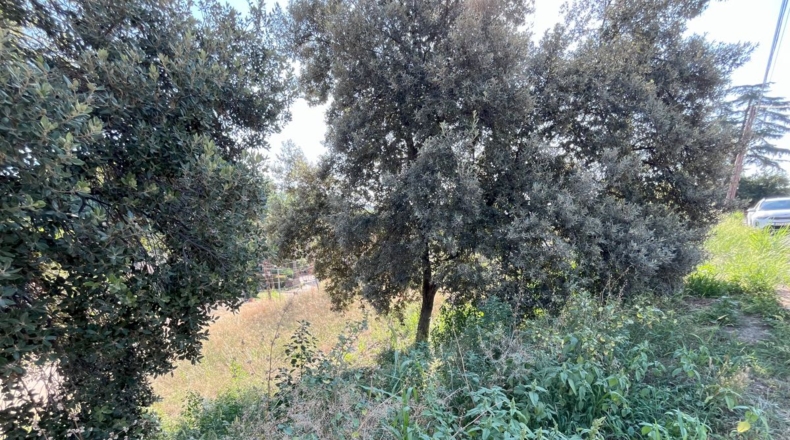 Barcelona - Bigues - 670m2