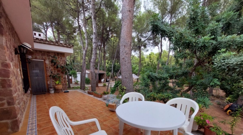 Castellón - Urbanització Les Palmes - 7190m2