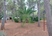 Xalet independent amb terreny en venda a Benicàssim ref.: TR189691 foto