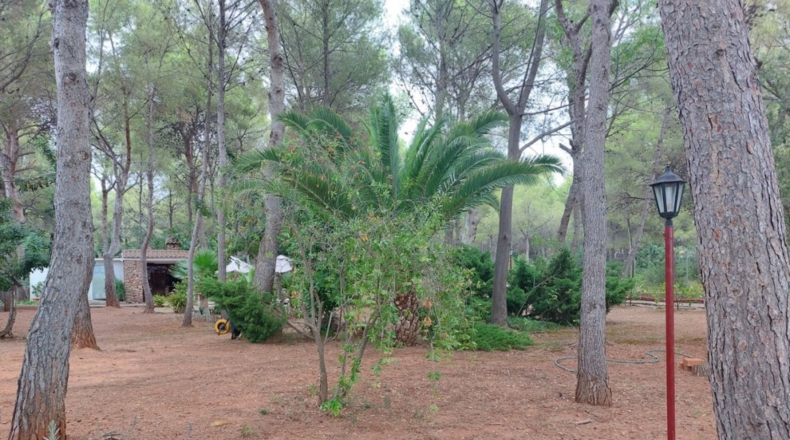 Castellón - Urbanització Les Palmes - 7190m2