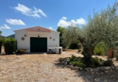 Xalet independent amb terreny en venda a Borriol ref.: TR189689 foto
