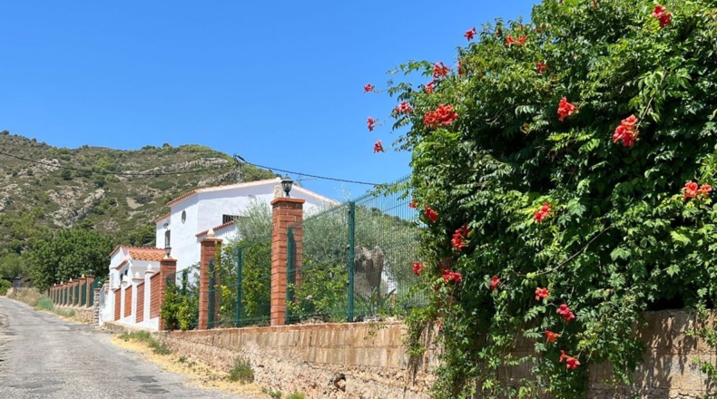Castellón - Borriol - 11917m2