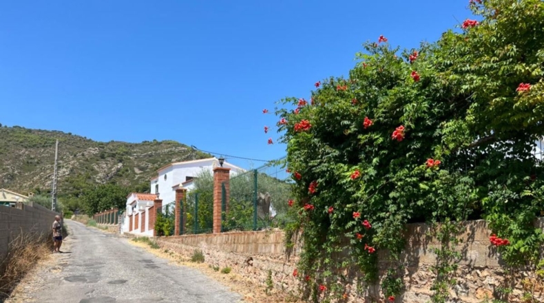 Castellón - Borriol - 11917m2