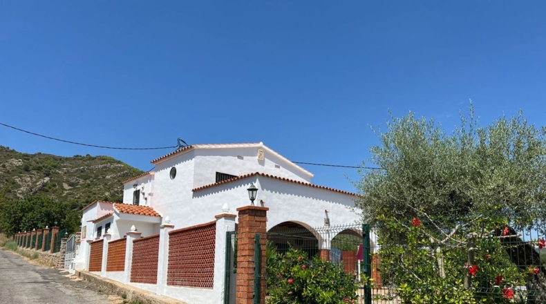 Castellón - Borriol - 11917m2