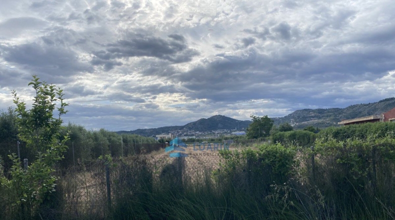 Castellón - Castelló de la Plana - 1474m2