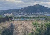Terreny no urbanitzable en venda a Castelló de la Plana ref.: TR253386 foto