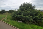 Land suitable for development for sale in Cartagena ref: TR110984 photo