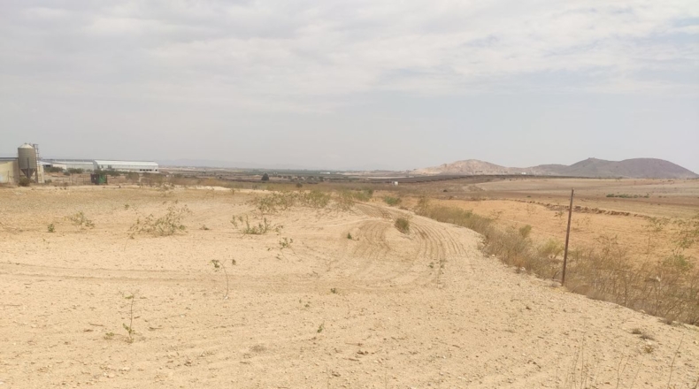 Murcia - Fuente Álamo de Murcia - 30777m2