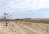 Finca rústica en venda a Fuente Álamo ref.: TR186184 foto