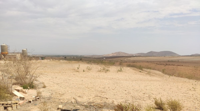 Murcia - Fuente Álamo de Murcia - 30777m2