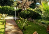 Chalet independiente con terreno en venta en Dosrius ref: TR210227 foto