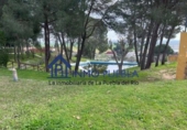 Xalet independent amb terreny en venda a La Puebla del Río ref.: TR207593 foto