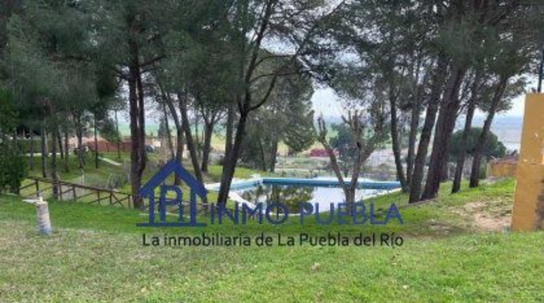 Sevilla - La Puebla del Río - 1000m2