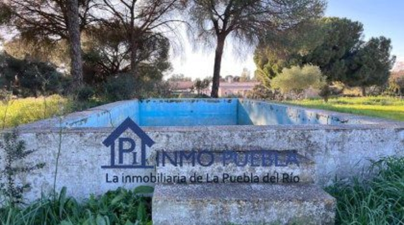 Sevilla - La Puebla del Río - 11000m2