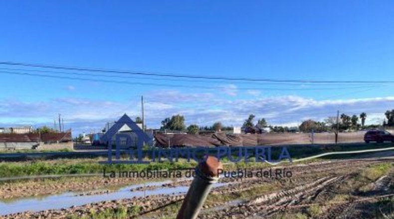 Sevilla - La Puebla del Río - 11000m2