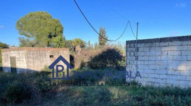 Sevilla - La Puebla del Río - 11000m2