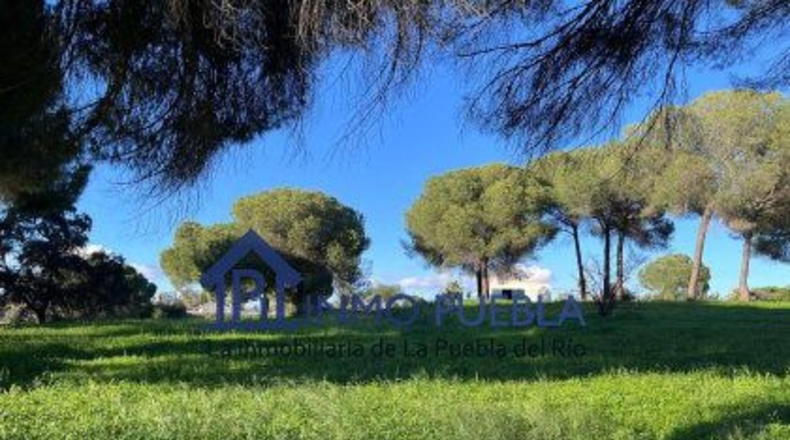 Sevilla - La Puebla del Río - 11000m2