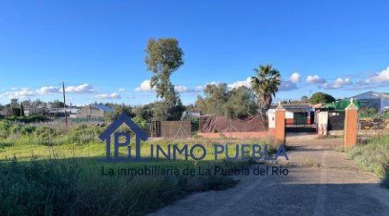Sevilla - La Puebla del Río - 11000m2