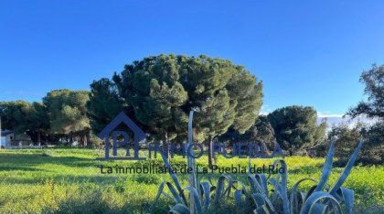 Sevilla - La Puebla del Río - 11000m2