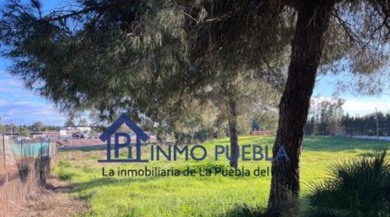 Sevilla - La Puebla del Río - 11000m2