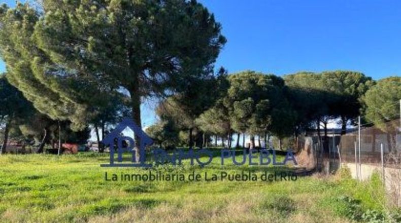 Sevilla - La Puebla del Río - 11000m2