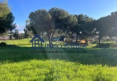 Non-developable land for rent on España, La Puebla del Río, ref: TR284941 photo