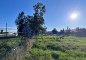Non-developable land for rent on España, La Puebla del Río, ref: TR284941 photo