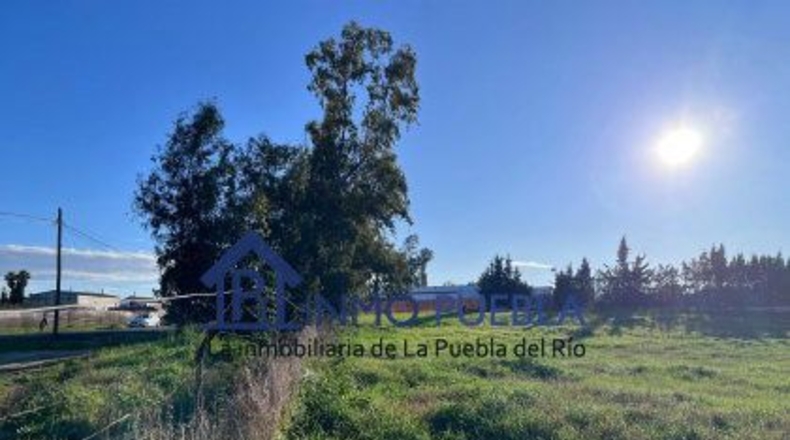 Sevilla - La Puebla del Río - 11000m2