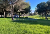 Non-developable land for rent on España, La Puebla del Río, ref: TR284941 photo