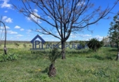 Chalet independiente con terreno en venta en la España, Bollullos Par del Condado, ref: TR252721 foto
